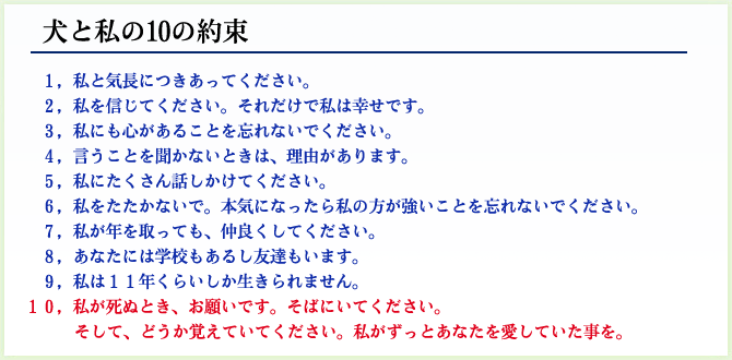 犬と私の10の約束